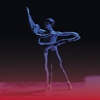balletto dance company