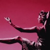 17. Münsteraner Tanzfestival