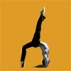 25. Münsteraner Tanzfestival